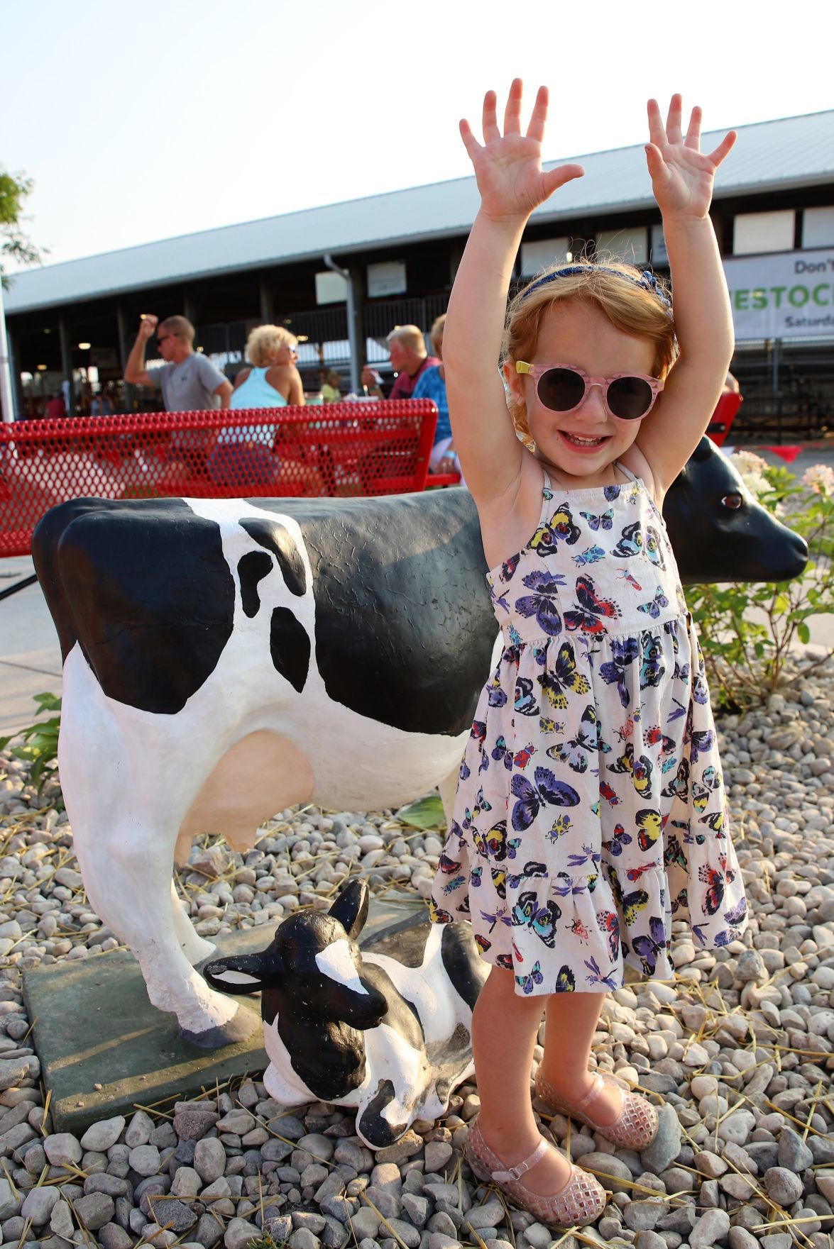An Udderly Good Time